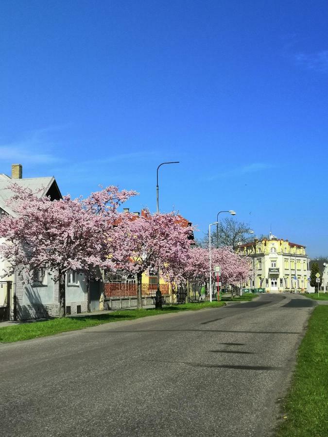 Hotel Modra Hvezda Sadská エクステリア 写真